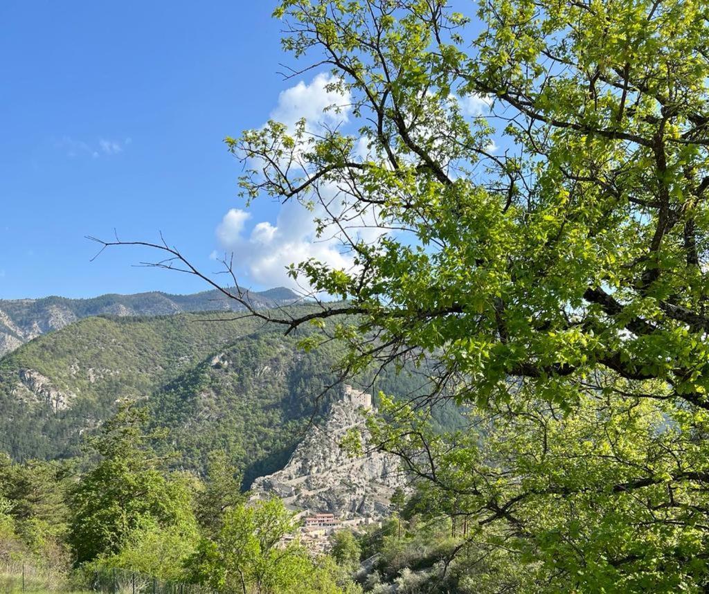 L'Orbitelle Apartment Entrevaux Luaran gambar